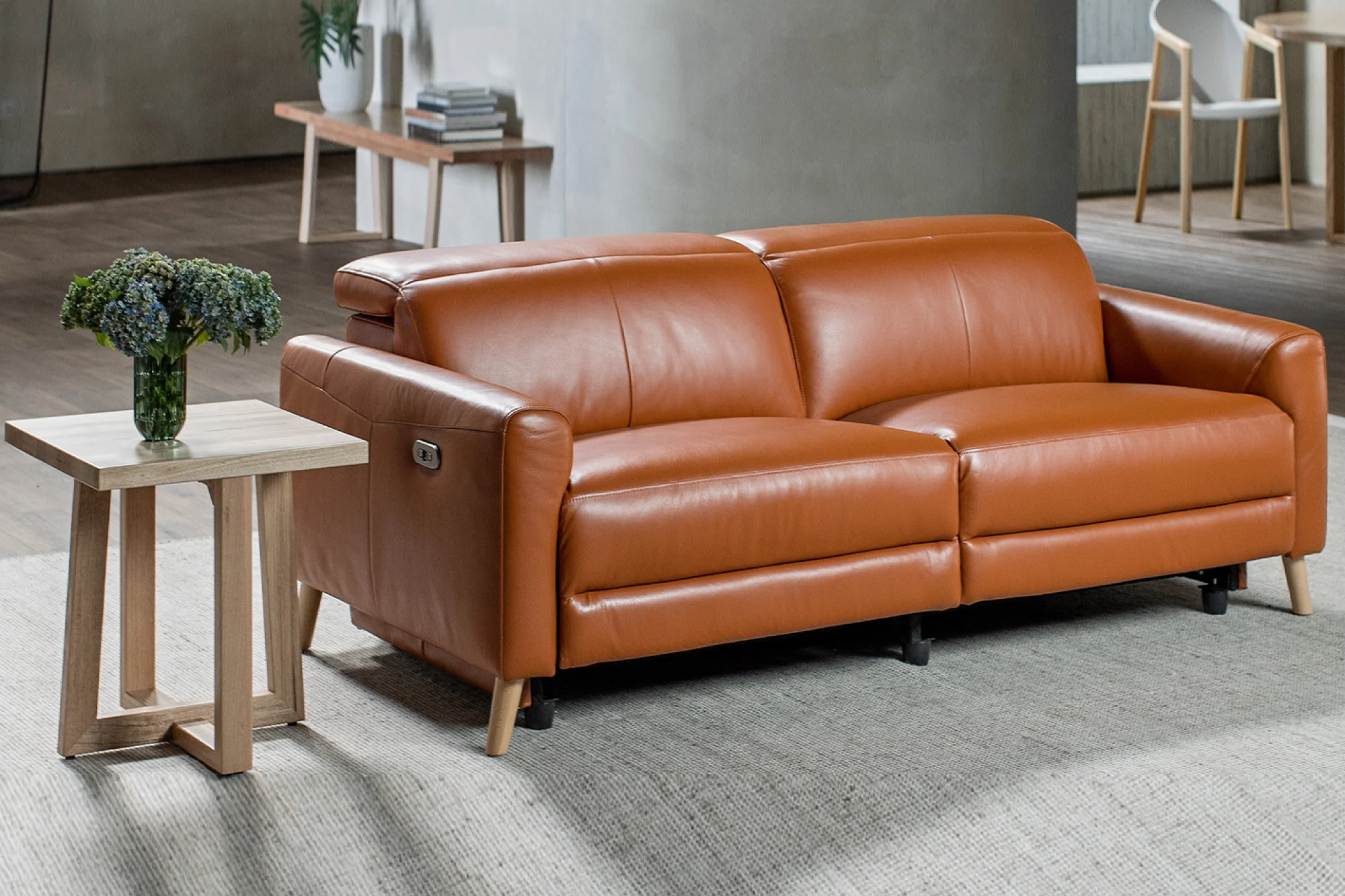 Elodie Leather Dual Recliner Lounge - Image 65