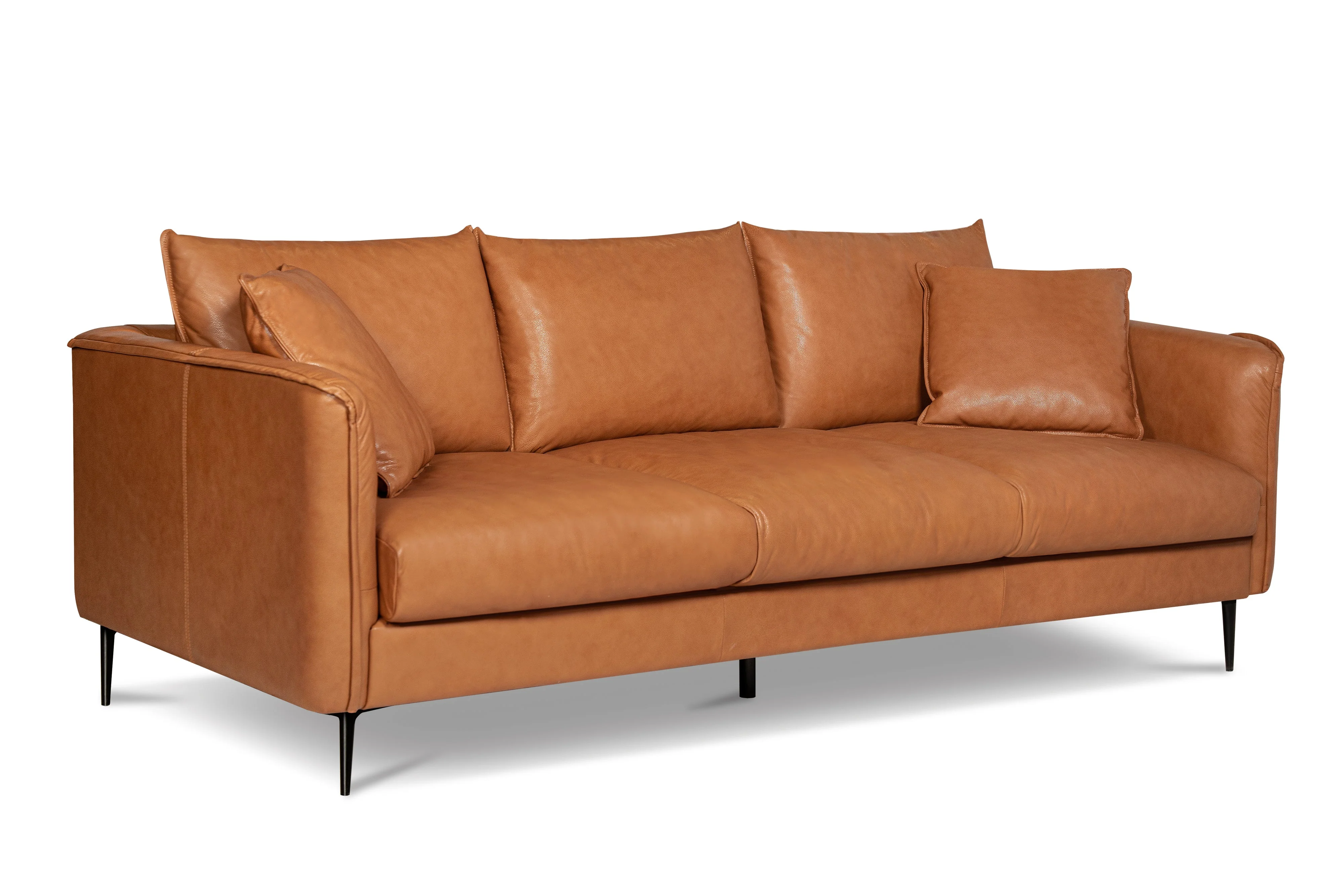 Jasper Leather Lounge - Image 22