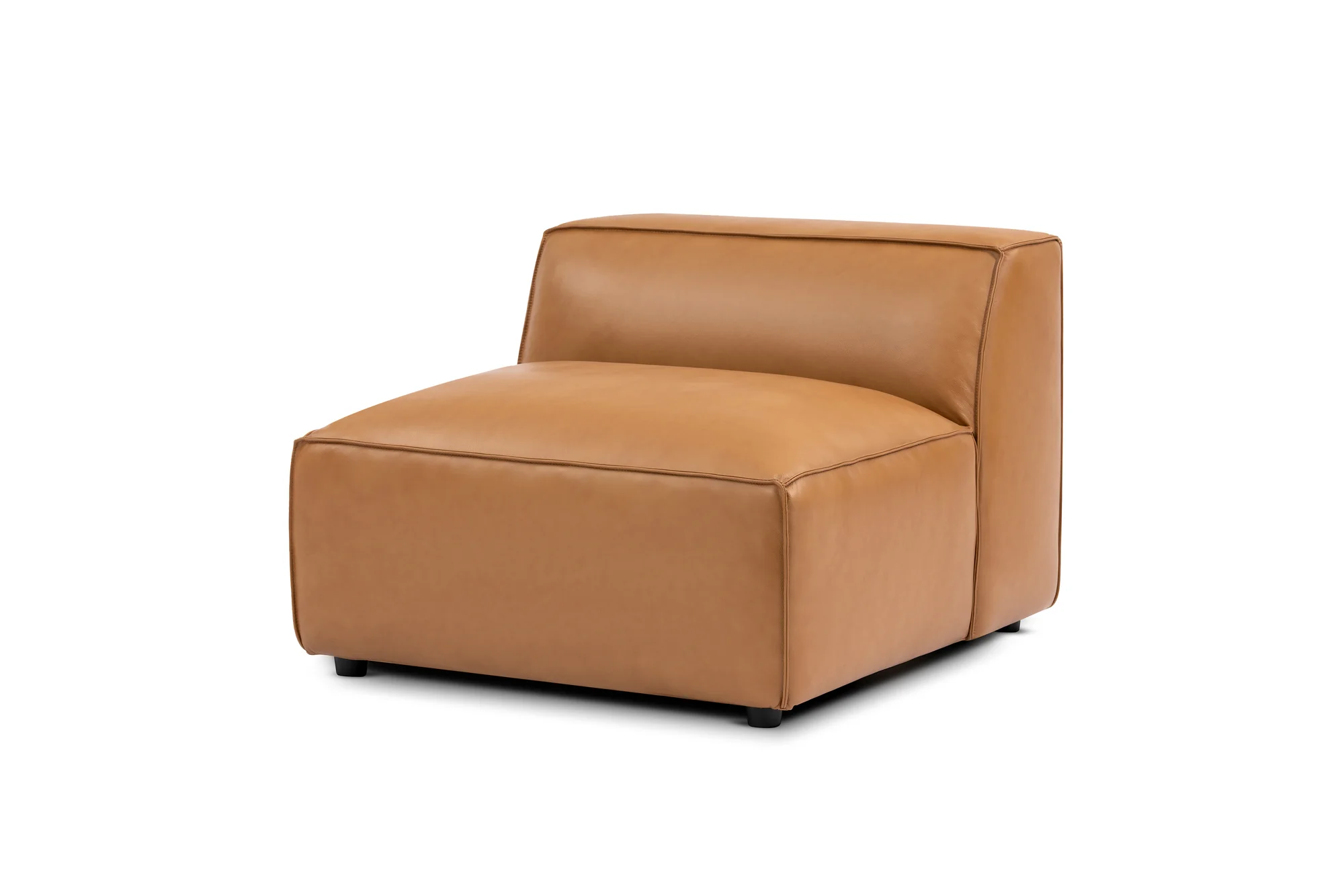 Nathan Leather Armless Lounge Module - Image 10