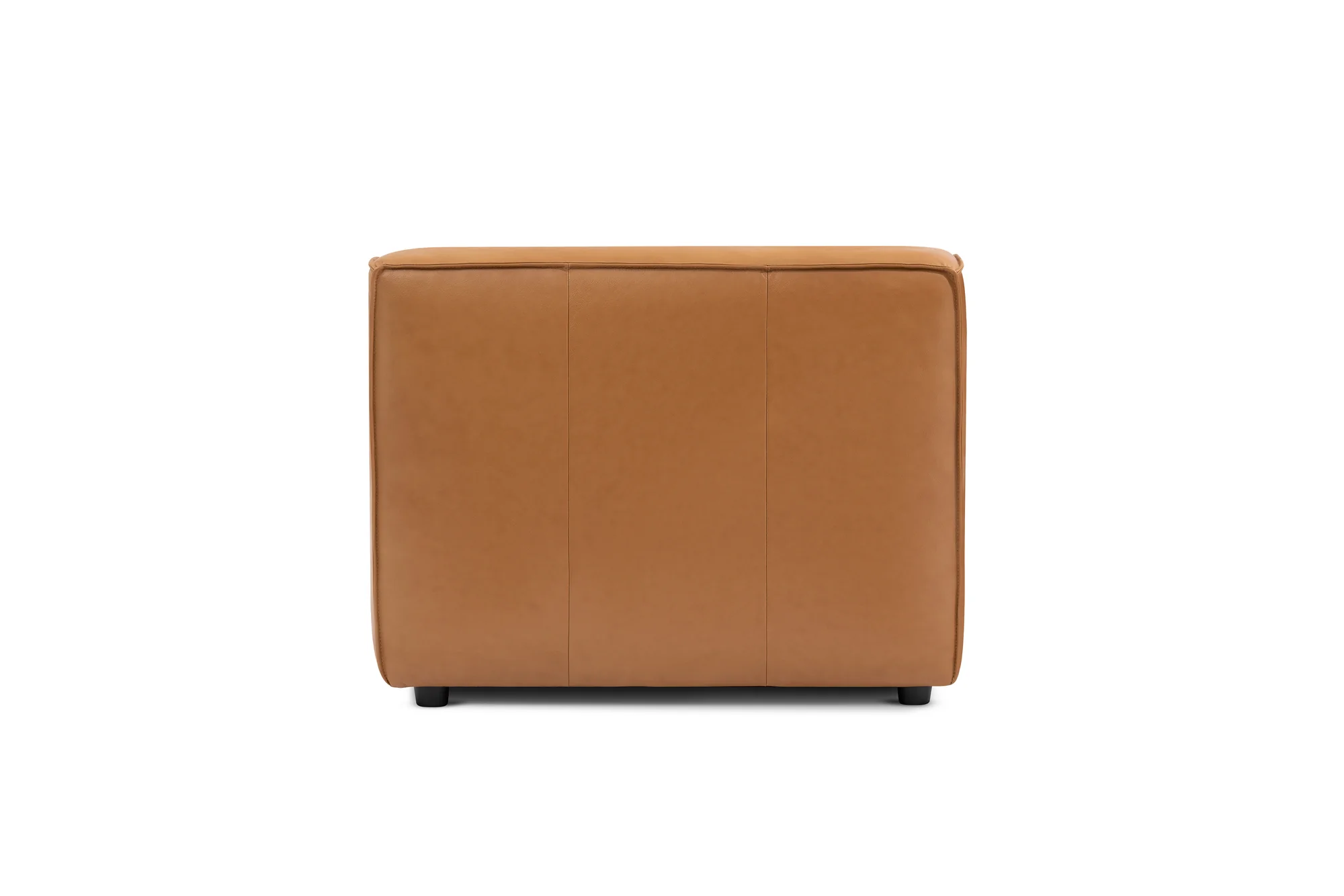 Nathan Leather Armless Lounge Module - Image 13