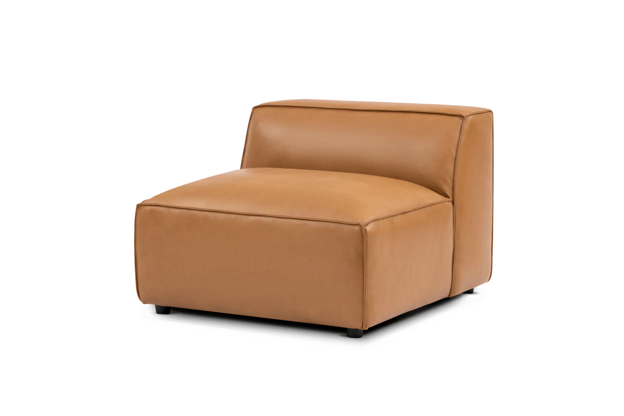 Nathan Leather Armless Lounge Module - Image 8